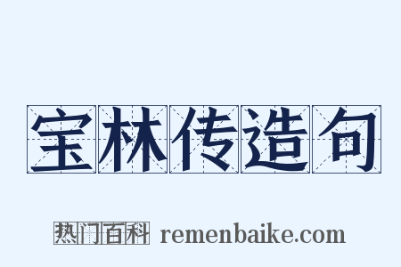 宝林传造句是什么意思的图片